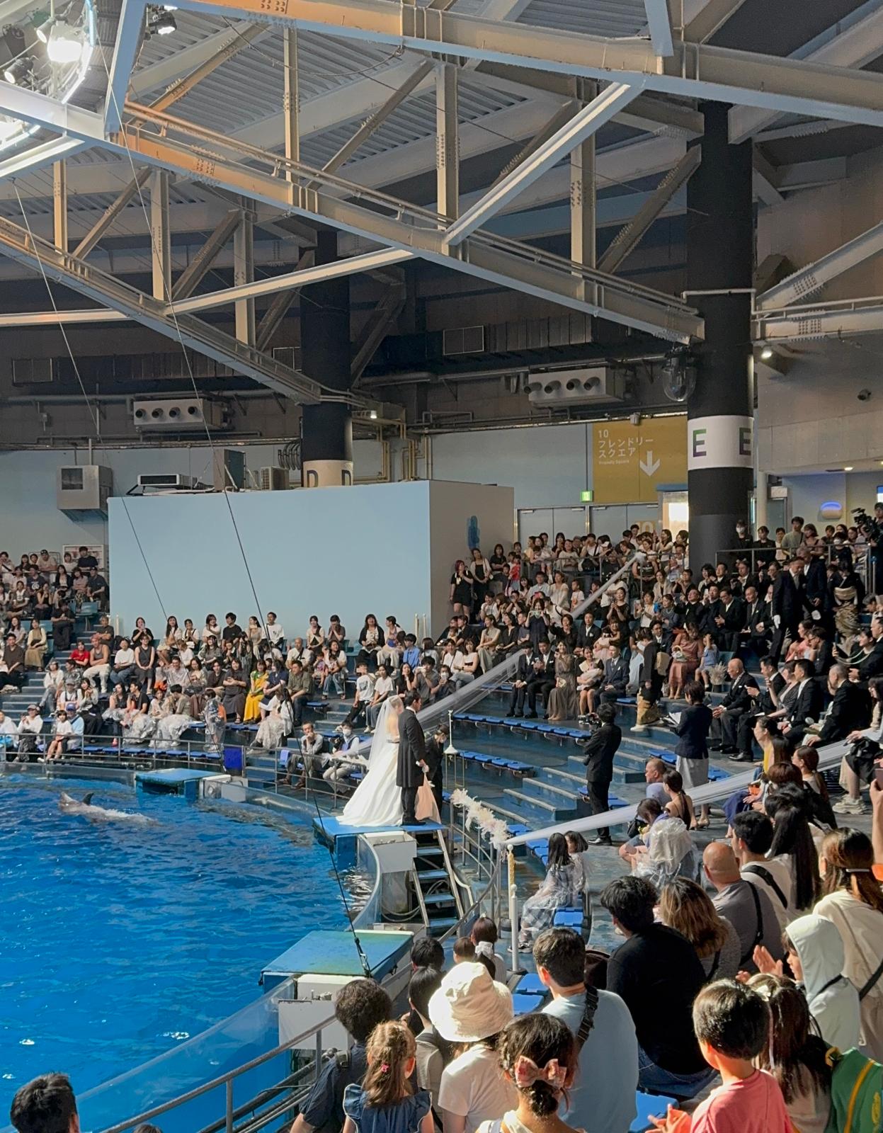 Wedding ceremony at Tokyo Aquarium